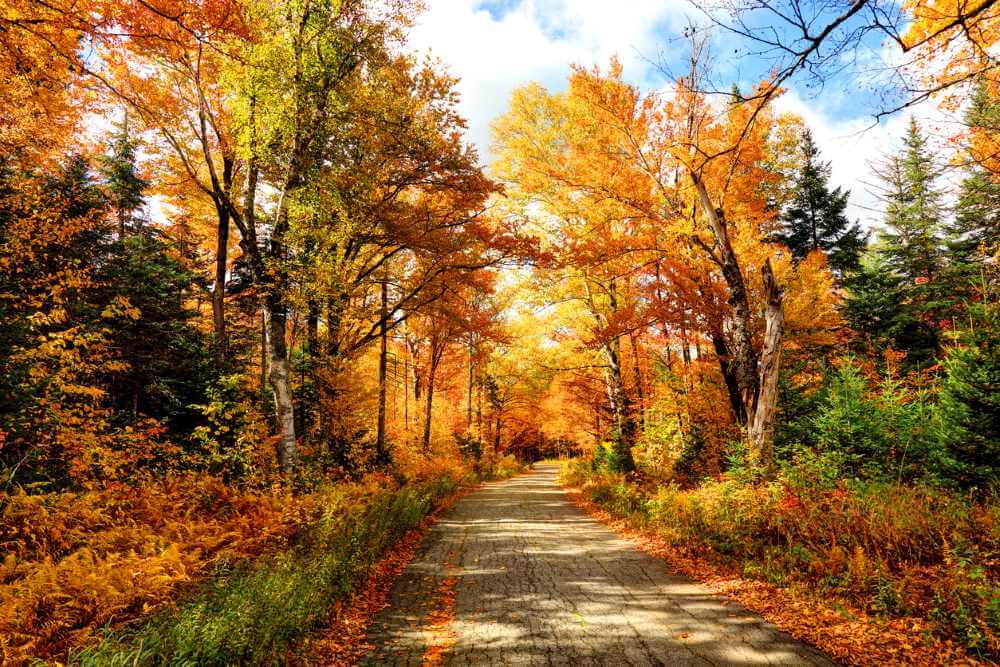 Best Places To Enjoy Fall Foliage In And Around Nashville Advent Limo 